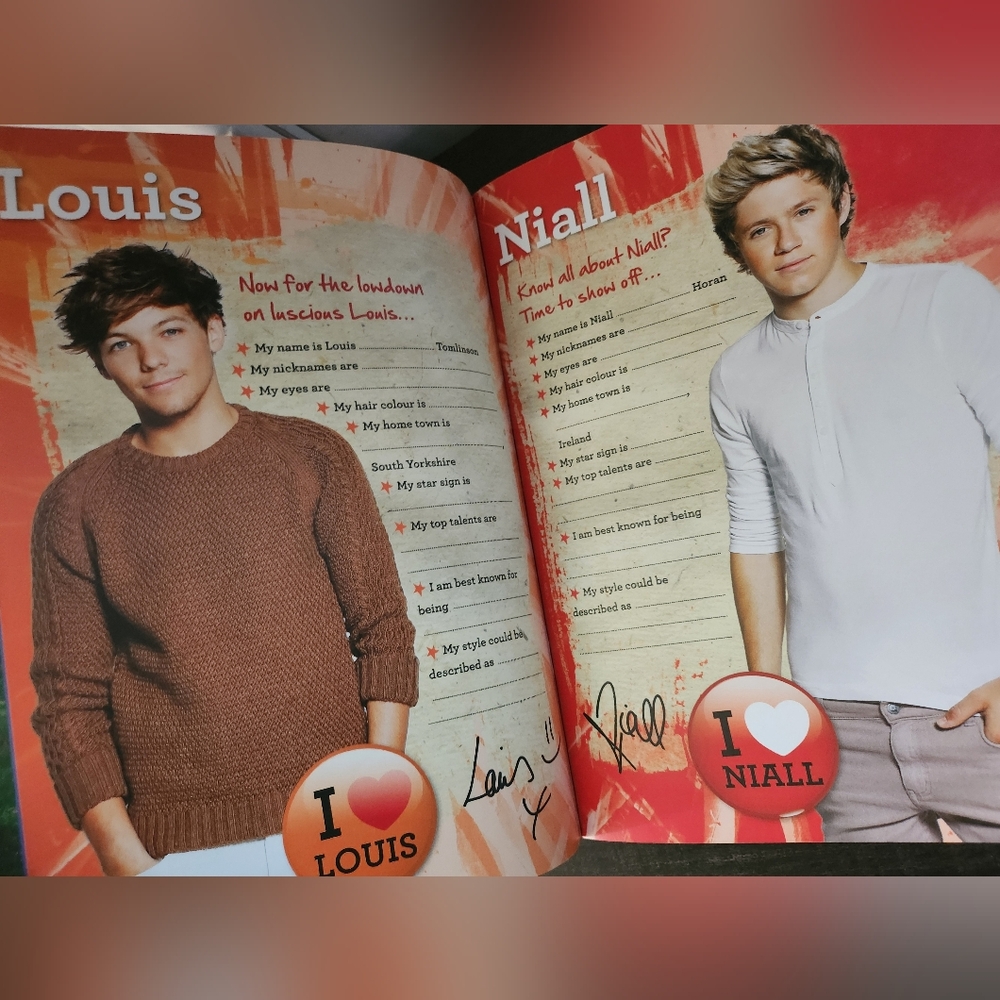 One Direction Ultimate Fan Book - Picture 6 of 16
